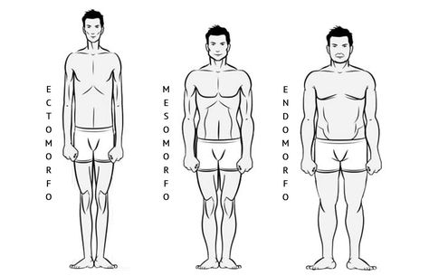 ¿Qué tipo de cuerpo tengo? | Asesoría de Imagen para Hombre | Asesores de Imagen y Comunicación para Hombres Barcelona Triangle Body Shape, Baby Feeding Schedule, Body Shapes, Body Types, Coaching, I Hope, Male Sketch