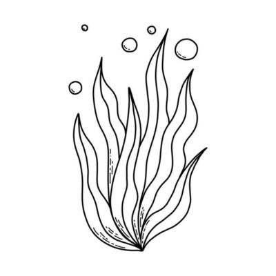 Coral hand-drawn doodle stock vector illustration. Underwater sea animal coloring page for kids printable page. Simple marine invertebrate coral black outline isolated on white. 7079254 Vector Art at Vecteezy Coral Outline Drawing, Easy To Draw Sea Creatures, Marine Life Drawing Simple, Simple Ocean Animal Drawing, Simple Sea Animal Drawing, Corals Drawings, Sea Coral Drawing, Sea Creatures Drawing Easy, Coral Doodle