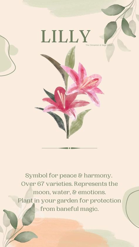 Sakura Meaning, Amarilis Flower, Lily Symbolism, Lily Flower Aesthetic, Corpse Lily, Flowers Symbolism, Lily Meaning, Flower Symbolism, Arum Lily