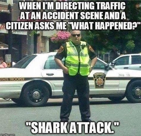 Funny Police Quotes, Cop Jokes, Police Jokes, Police Memes, Police Quotes, Cops Humor, Police Lives Matter, 1st Responders, Police Humor