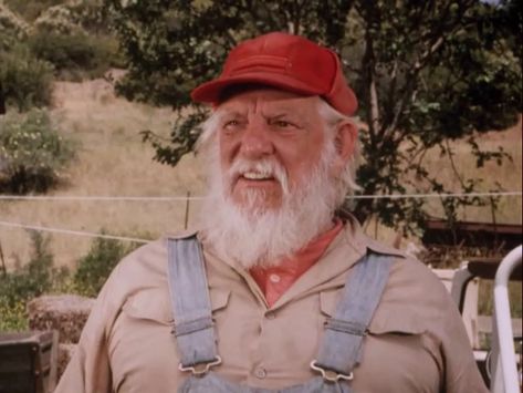 Uncle Jessie, Denver Pyle, Doris Day Show, Grizzly Adams, Bo Duke, Jim Bowie, Dukes Of Hazard, Uncle Jesse, Andy Griffith Show