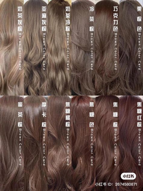 Brown Hair Colors On Tan Skin, Brown Hair Colors For Tan Skin, Milk Tee Brown Hair, Hair Color Tan Skin Asian, Hair Colors For Asian Skin Tone, Hair Colour Asians, Hair Dye For Cool Skin Tones, Hair Colour For Tan Skin Asian, Oatmeal Hair Color