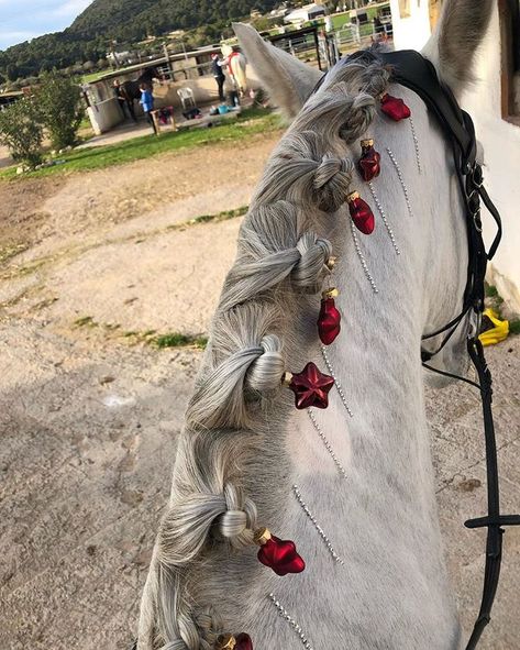 Horse Stall Decorations, Mane Braids, Horse Hairstyles, Flower Child Aesthetic, Horse Braids, Horse Mane Braids, Horse Decorations, Child Aesthetic, Parade Costumes