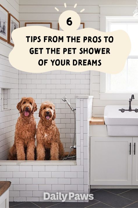 Dogs Washing Station, Powder Room With Dog Wash, Dog Showers In Utility Room, Shower And Dog Wash Combo, Laundry Room Dog Shower Ideas, Dog Shower In Mudroom, Dog Bathing Station Mud Rooms, Laundry Room Ideas With Pet Wash, Dog And Human Shower Ideas