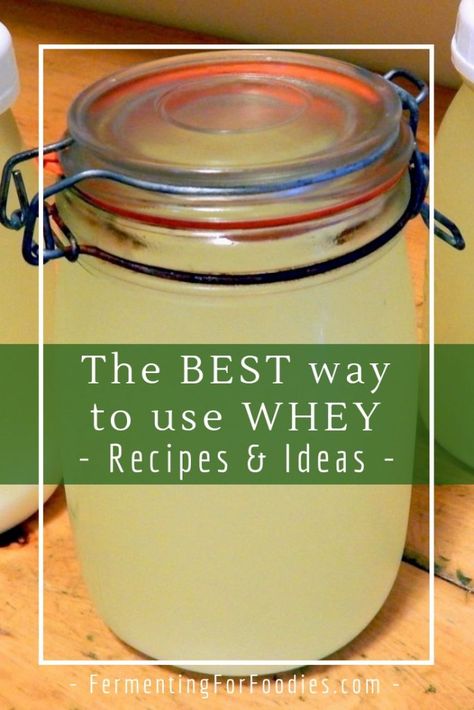 Recipes With Whey, Recipes Using Whey, Homemade Whey, Greek Yogurt Ideas, Yogurt Ideas, Whey Recipes, Pantry Hacks, Fermenting Foods, Whey Protein Recipes