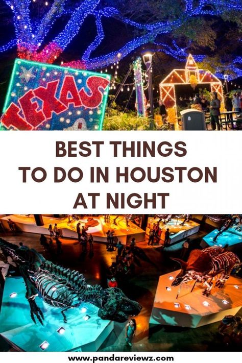 21 Fun Things To Do in Houston at Night | Nightlife in Houston | Panda Reviewz - Discovering The Best of Food & Travel. Houston At Night, Houston Wallpaper, Aesthetic Houston, Houston Date Ideas, Houston Aesthetic, Night Houston, Houston Vacation, Houston Nightlife, Houston Neighborhoods