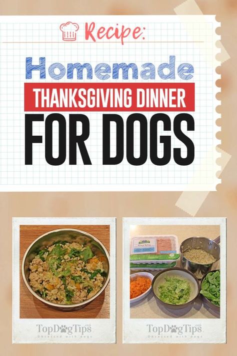 Homemade Thanksgiving Dinner for Dogs Recipe Thanksgiving Dinner For Dogs, Dog Thanksgiving Dinner, Dog Meals, Recipes For Dogs, Holiday Boards, Grain Free Dog Food, Dog Thanksgiving, Doggie Treats, Thanksgiving Dinner Recipes