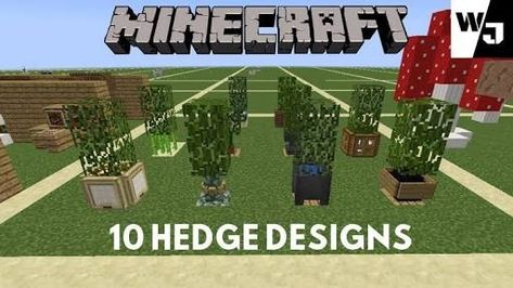 Minecraft Hedge, Hedge Ideas, Clash Of Clans, Hedges, Soccer Field, Minecraft, 10 Things, Design