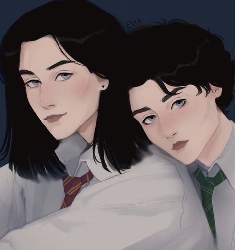 Sirius And Regulus, The Black Brothers, Black Brothers, Marauders Fan Art, Brothers Art, Desenhos Harry Potter, Harry Potter Drawings, Regulus Black, All The Young Dudes