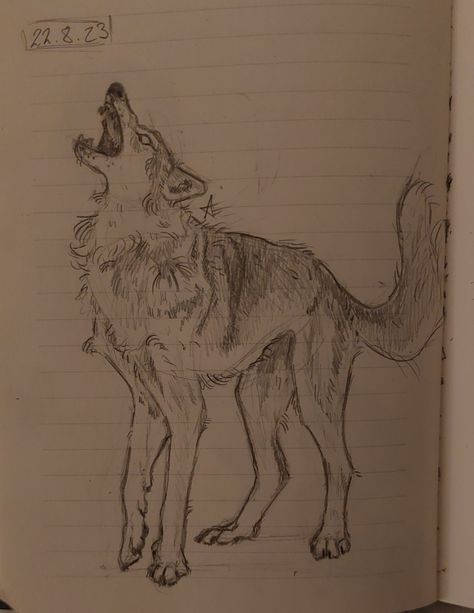 This is my own art!! (@ kodabruin or @ xfox.socksx on Insta) You can use it as a reference but please don't trace it. Wolves Drawing Reference, Wolf Drawing Sketch Realistic, Wolf Head Reference, Wolf Reference Drawing, Wolf Paw Drawing, Dog Art Reference, Animal Reference Drawing, Cool Wolf Art, Wolf Cut Drawing Reference