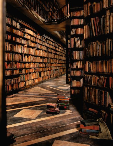 Charles Matton, Lots Of Books, Future Library, Rich Decor, Dream Library, Library Aesthetic, Dark Academia Aesthetic, Academia Aesthetic, Coffee And Books