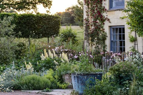 Home Garden Ideas, Herbaceous Border, Cottage Garden Design, Border Plants, Felt Leaves, Farmhouse Garden, Home Garden Design, Inspire Me Home Decor, Spring Bulbs