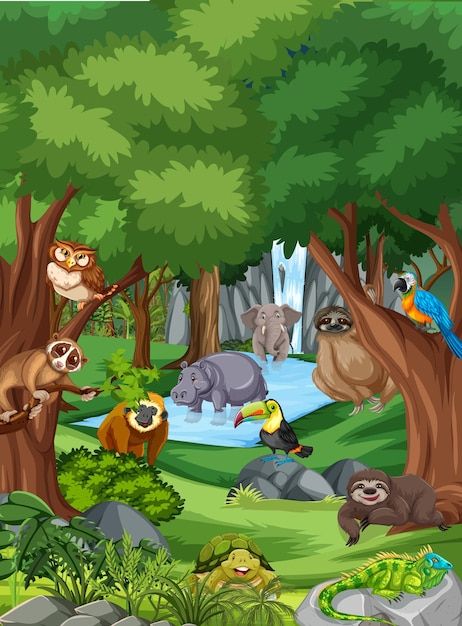 Free vector wild animal cartoon characte... | Free Vector #Freepik #freevector #jungle-safari #jungle-animals #mammals #cartoon-jungle Jungle Cartoon, Jungle Images, Jungle Clipart, Jungle Scene, Book Background, Hippie Painting, Cute Animal Clipart, Doodle On Photo, Animal Cartoon