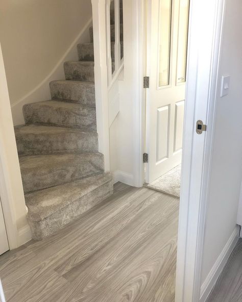 Our Wilford Home on Instagram: “flooring🌻 Still so in love with our flooring. I’m so glad we didn’t go with David Wilson and did it on our own. Still on the search for…” Carpet And Laminate Together, David Wilson Homes, David Wilson, Carpet Underlay, Stair Landing, Flooring Trends, Hall Decor, Grey Carpet, Carpet Stains