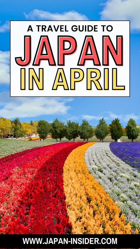 Is April a good month to visit Japan? Here's everything you need to know | Japan Insider Tokyo In April, Japan In April, Traveling To Japan, Spring In Japan, Japan Spring, April Flowers, Cherry Blossom Festival, Nature Tour, Cherry Blossom Season