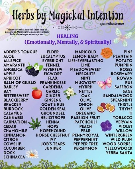 Herbs For Healing, Goats Rue, Herbal Witch, Healing Tips, Magickal Herbs, Witch Herbs, Medical Herbs, Magic Herbs, Kitchen Witchery