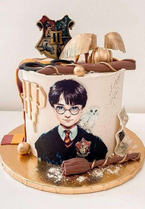 Harry Potter Cake Ideas Birthdays, Harry Potter Birthday Party Ideas Cake, Harry Potter Castle Cake, Harry Potter Cakes Birthday, Hedwig Cake, Birthday Cake Harry Potter, Harry Potter Cake Decorations, Pastel Harry Potter, Harry Potter Flying Car