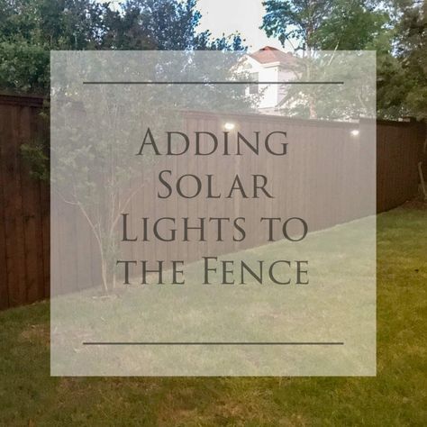 Wood Fence Lighting Ideas, Solar Fence Lights Outdoor, Fence Lighting Ideas Backyards, Solar Lights On Fence, Solar Lights Fence, Solar Lights For Fence, Fence Lighting Ideas, Bruce Munro, Solar Driveway Lights