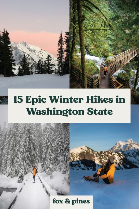 Washington might be known for its cold, rainy, and dreary winters – but don’t let that deter you from getting outside and enjoying all the beautiful trails Washington has to offer this winter! Winter Washington State, Best Hikes Washington State, Washington Hikes Pacific Northwest, Winter In Washington State, Hiking Washington, Washington Winter, Winter Hiking Gear, Washington State Hikes, Snow Hiking