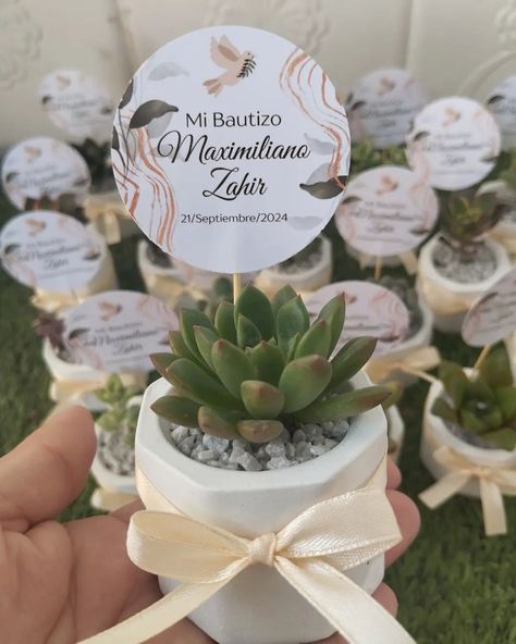 Souvenirs/Recuerdos para Bautizo de Maximiliano ✨🤍 . #recuerdosdecactusysuculentas #postconcrete #handmade #guayaquil #cactusysuculentas Bautizo Ideas, September 19, Cactus Y Suculentas, Birthday Parties, Cactus, Party Ideas, Birthday Party, Baby Shower, Birthday