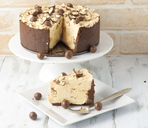 If you like Maltesers, then this is a cheesecake I think you will really enjoy.  There are Maltesers in the base, the cream cheese filling as well as sprinkled over the top. The base is a mix of ch… Malteser Cheesecake, Chocolate Ripple Biscuits, Malteser Cake, Chocolate Cream Cheese, Almond Cakes, Cream Cheese Filling, Tart Recipes, Homemade Chocolate, The Cream