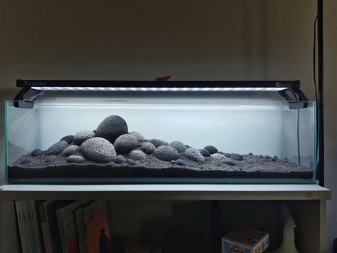 Iwagumi Aquascape Layout, Rock Aquascape, Hardscape Aquarium, African Cichlid Tank, Cool Fish Tank Decorations, Fish Aquarium Decorations, Fish Tank Themes, Fish Tank Terrarium, Goldfish Tank