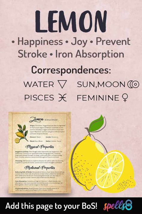 Lemon Witchcraft Uses, Lemons In Witchcraft, Lemon In Witchcraft, Lemon Spiritual Meaning, Lemon Magical Properties, Lemon Witchcraft, Magical Properties Of Lemon, Lemon Magic, Hot Water With Lemon