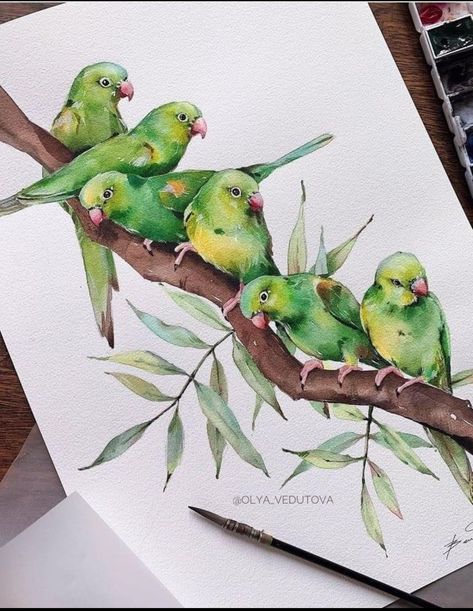 Drawing Of New York, Aquarelle Drawing, Bird Painting Acrylic, Parrot Painting, Watercolor Paintings Nature, Bird Watercolor Paintings, Floral Drawing, Watercolor Flower Art, 수채화 그림