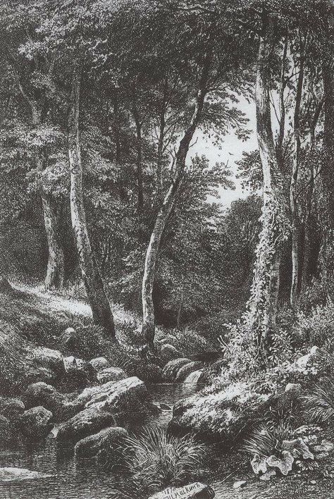 1870 Ivan Shishkin, Russian Landscape, Landscape Pencil Drawings, Forest Drawing, Painting Forest, Nature Sketch, Tree Sketches, Landscape Sketch, White Drawing