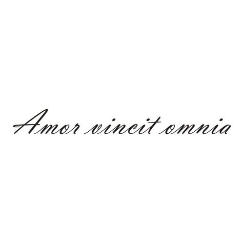 Love conquers all Amor Vincit Omnia Tattoo Fonts, Latin Quote Tattoos For Women, Amor Vincit Omnia Tattoo, Italian Quote Tattoos, Music Girl, Foot Tattoos For Women, Love Conquers All, Wrist Tattoos For Women, Gossip News