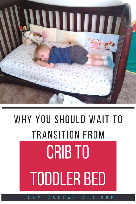 Text: Why you should wait to transition from crib to toddler bed. Picture: toddler boy laying on a toddler bed happy. Toddler Bed Transition, Diy Toddler Bed, Crib To Toddler Bed, Kid Bedrooms, Bed Crib, Toddler Floor Bed, Bed Rails For Toddlers, Toddler Bedroom Girl, Toddler Crib