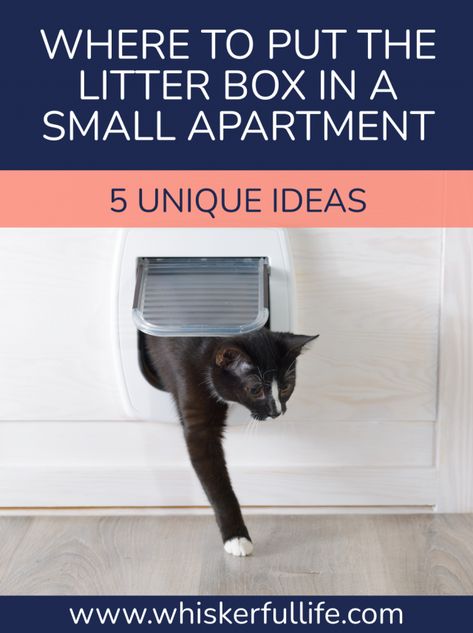 Small Apartment Cat, Litterbox Solutions, Dog Proof Litter Box, Cat Litter Box Diy, Cat Liter, Hiding Cat Litter Box, Enclosed Litter Box, Diy Litter Box, Cat Apartment