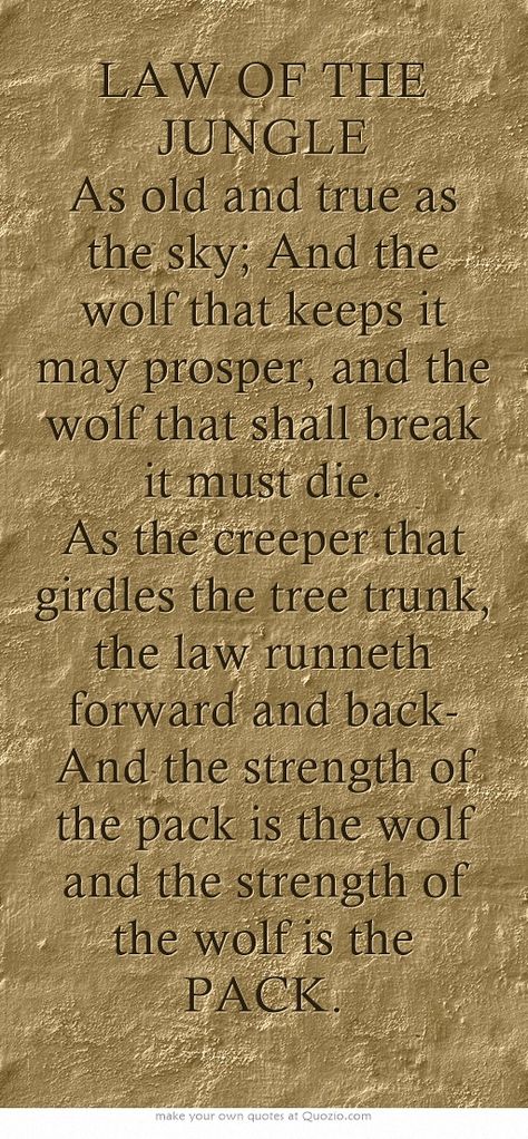 LAW OF THE JUNGLE As old and true as the sky; And the wolf that keeps it may prosper, and the wolf that shall break it must die. As the creeper that girdles the tree trunk, the law runneth forward and back- And the strength of the pack is the wolf and the strength of the wolf is the PACK. Law Of The Jungle, The Creeper, Be Confident In Yourself, Feeling Weak, Girdles, Wild One, The Wolf, The Pack, Meaningful Words