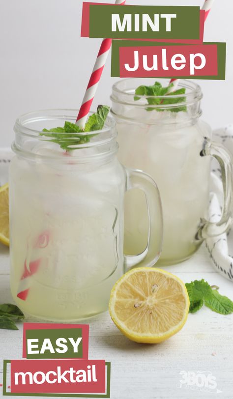 Mint Julep Mocktail Recipe, Mint Juleps Recipe, Mock Mint Julep Recipe, Virgin Mint Julep Recipe, Large Batch Mint Julep Recipe, Easy Mint Julep Recipe, Mint Julep Punch, Mint Julep Recipe Non Alcoholic, Kid Drinks Recipes