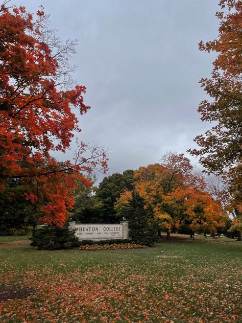 Wheaton College, In The Fall, Vintage Tea, The Fall, Country Roads, Tea, Road