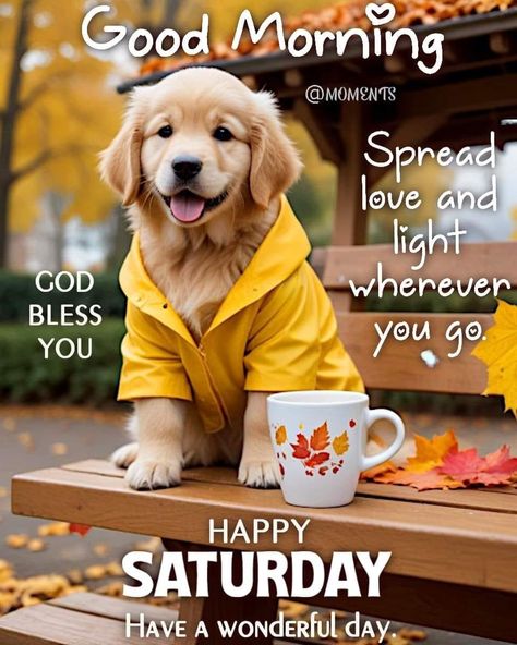 Saturday Morning Fall Quotes, Good Morning Happy Saturday Fall, Saturday Morning Greetings, Good Morning Happy Weekend, Saturday Morning Quotes, Happy Saturday Quotes, Happy Saturday Morning, Saturday Greetings, Good Morning Happy Saturday