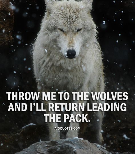 Throw me to the #wolves and i’ll return #leading the pack.  #inspirational  #InspirationalQuotes  #motivation  #MotivationalQuote  #leadership  #quoteoftheday Throw Me To The Wolves And I Will Return, Throw Me To The Wolves Quote, Warrior Mentality, Leadership Words, Teacher Encouragement Quotes, Throw Me To The Wolves, Pack Of Wolves, Teacher Encouragement, Goddess Magic