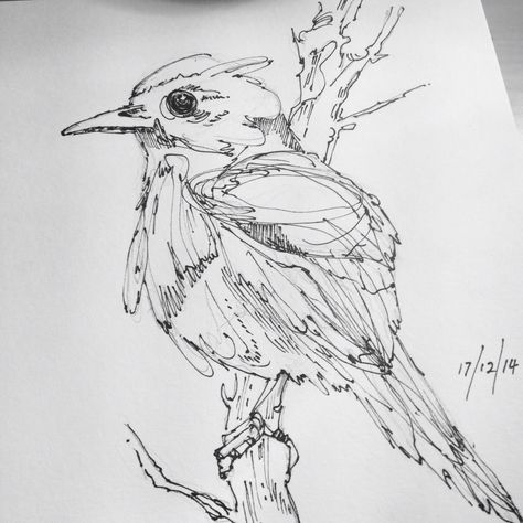 Drawing In Sketchbook, Pen Sketch Drawing, Animal Sketching, Pen Sketching, Sketch Plan, Sketch Animals, State Stickers, Hand Sketches, Wren Bird