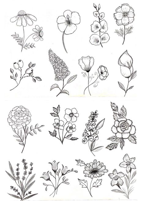 Flower Reference Drawing Sketch, Botanical Doodles Flower, Plant Sketches Doodles, Botanical Drawings Black And White, Flower Drawing Sketches, Red Rose Tattoo Design, Flower Sketch Pencil, Procreate Pattern, Doodles Flowers