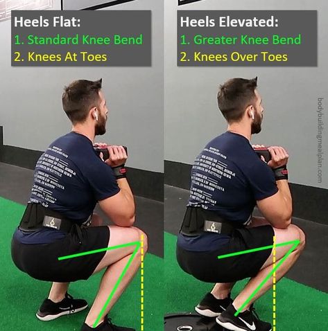 Standard Goblet Squat vs Heel Elevated Goblet Squat Goblet Squat Muscles Worked, Elevated Goblet Squat Form, Raised Goblet Squat, Goblet Squat Elevated, Heel Elevated Squats, Heel Elevated Goblet Squat, Elevated Squats Exercise, Goblet Squat Vs Sumo Squat, Goblet Squat Form