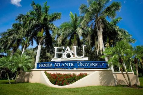 10 of the Easiest Classes at Florida Atlantic University - Humans of University Accused Of Cheating, Academic Integrity, Florida Atlantic University, Colleges In Florida, College Writing, Vision Board Images, Dream College, Apex Predator, College Experience