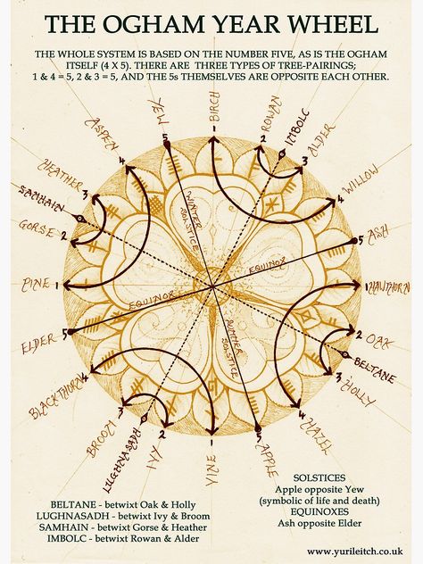 "Ogham Year Wheel" Canvas Print by Yuri-Leitch | Redbubble Year Wheel, Celtic Paganism, Ogham Alphabet, Celtic Druids, Nature Magic, Celtic Astrology, Wiccan Spell Book, Medicine Wheel, Celtic Tree