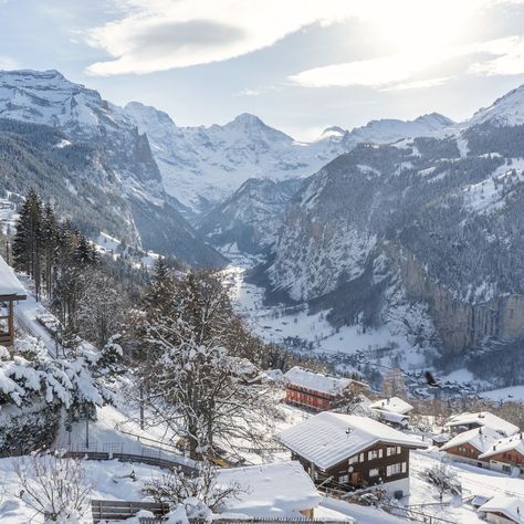 Adventure awaits in the Swiss Alps! Enjoy a stay in Wengen, Switzerland!🇨🇭 The village of Wengen in Switzerland is situated on a shoulder of Alpine pastures and forests. From there, you will be able to see the Jungfrau, one of the most spectacular mountains in the Swiss Alps. The view, combined with the amenities available in the village, will ensure a relaxing and enjoyable stay. ⛷️❄️ Package includes: 👉 7 Nights in a Superior Room Garden View at Grand Hotel Belvedere 👉 6-Day Lift Pass for... Wengen Switzerland, Best Apartments, Superior Room, Room Garden, Swiss Alps, Cool Apartments, Closer To Nature, Winter Fun, Grand Hotel