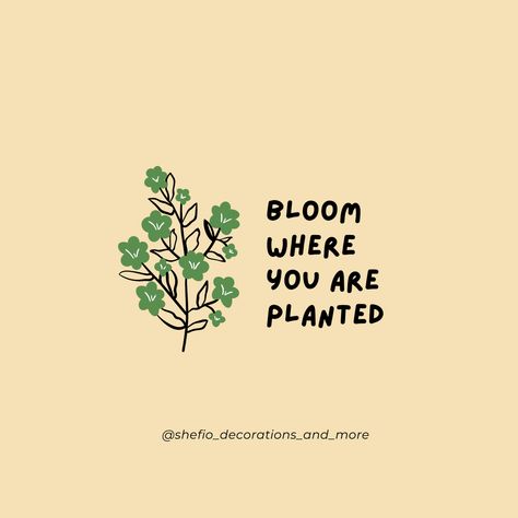 Plant Related Quotes, Grow Where You Are Planted Quote, Plant Motivational Quotes, Bloom Where You Are Planted Tattoo, Grow Where You Are Planted, Planting Seeds Quotes, Planting Quotes, Desert Quote, Seed Quotes