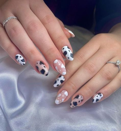 Cowboy Print Nails, White Cowprint Nails, Last Rodeo Nails, Neal Art Designs, Vet Nails, Cow Almond Nails, Cow Nail Designs, Acrylic Nails Cow Design, Almond Western Nails