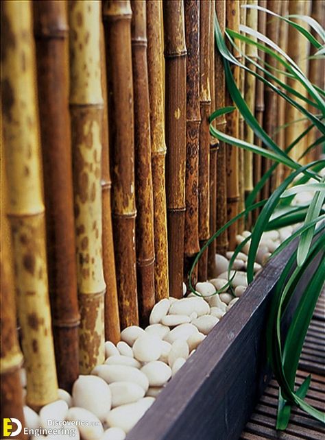 Top 40 Creative Bamboo Fence Ideas Deco Zen, Urban Wall Art, Healthy Supper Recipes, Balcony Ideas Apartment Indian, Healthy Supper, Bamboo Fence, Small Backyard Design, Apartment Balconies, Coastal Wall Art