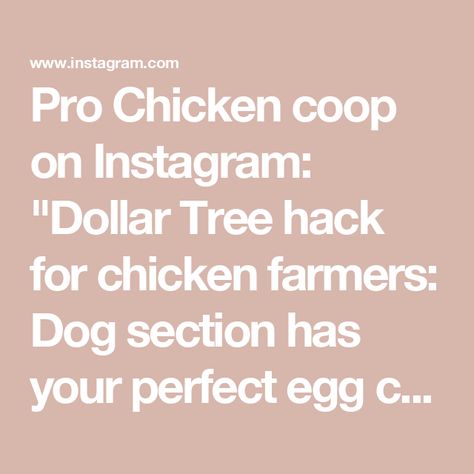 Pro Chicken coop on Instagram: "Dollar Tree hack for chicken farmers: Dog section has your perfect egg collector! Stubborn hens won't stand a chance. 🐔🥚 . . Follow @chicken_ig_daily for more! #chickencoop #farmlife #backyardchicken #homestead #chickenideas" Farmers Dog, Dollar Tree Hacks, Perfect Eggs, Chickens Backyard, Chicken Coop, Farm Life, Coop, Dollar Tree, Farmer