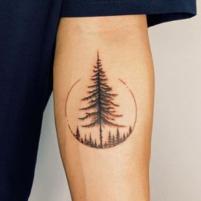 Cedar Tattoo, Cedar Tree Tattoo, Redwood Tree Tattoo, Redwood Tattoo, Powerful Tattoos, Small Nature Tattoo, Brown Tattoo Ink, Simple Tree Tattoo, Outdoor Tattoo