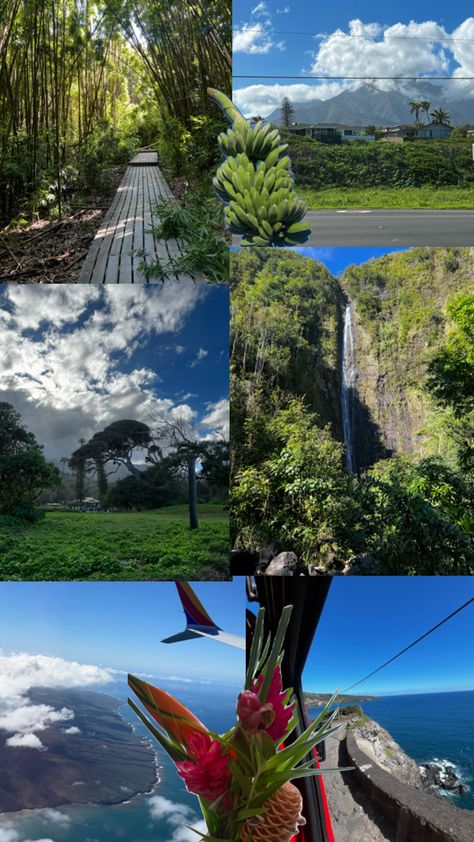 Road to Hana, Waterfall, Bamboo, Maui Hawaii Road To Hana, Maui Hawaii, Maui, Hawaii, Bamboo, Road