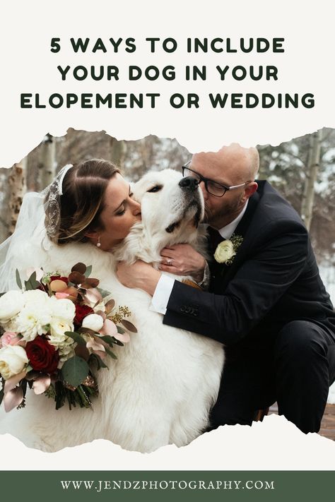 Elopement Ideas With Dog, Include Dog In Wedding, Jeep Wedding, Dog Of Honor, Ring Bear, Flower Dog, Along For The Ride, Crazy Dog Lady, Dog Lady